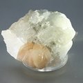 Stilbite with Apophyllite Cluster   ~6cm