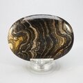 Stromatolite Palmstone (Extra Grade) ~70x50mm