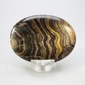 Stromatolite Palmstone (Extra Grade) ~70x50mm