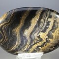 Stromatolite Palmstone (Extra Grade) ~70x50mm