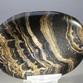 Stromatolite Palmstone (Extra Grade) ~70x50mm