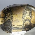 Stromatolite Palmstone (Extra Grade) ~70x50mm