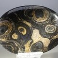 Stromatolite Palmstone (Extra Grade) ~70x50mm