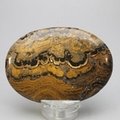 Stromatolite Palmstone (Extra Grade) ~70x50mm