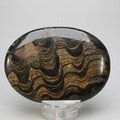 Stromatolite Palmstone (Extra Grade) ~70x50mm