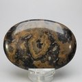 Stromatolite Palmstone (Extra Grade) ~70x50mm