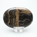 Stromatolite Palmstone (Extra Grade) ~70x50mm