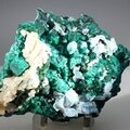 STUNNING Dioptase Mineral Specimen ~105mm