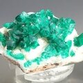 Stunning Dioptase Mineral Specimen (Tsumeb) ~50mm