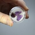 Sugilite Mini Tumblestone Chips