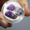 Sugilite Mini Tumblestone Chips