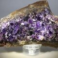 Super Grade Amethyst Cluster ~103 x 68mm