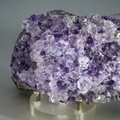 SUPERIOR SUPER GRADE Amethyst Cluster (Uruguayan) ~100 x 60mm