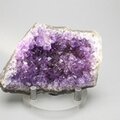Super Grade Amethyst Cluster (Uruguayan) ~77x51mm