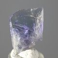 Tanzanite Mini Healing Crystal ~11mm