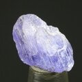 Tanzanite Mini Healing Crystal ~12mm