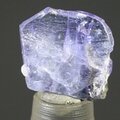 Tanzanite Mini Healing Crystal ~13mm