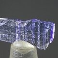 Tanzanite Mini Healing Crystal ~17mm