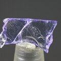 Tanzanite Mini Healing Crystal ~18mm
