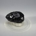 Tektite Tumblestone (Extra Grade) ~32mm