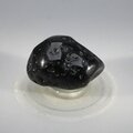 Tektite Tumblestone (Extra Grade) ~35mm