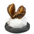 Tiger Eye Carved Dolphin On Base ~100mm x 95mm