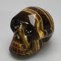 Tiger Eye Crystal Skull ~4.8 x 3.2cm