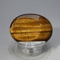 Tiger Eye Thumbstone (Extra Grade) ~40x30mm
