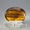 Tiger Eye Thumbstone (Extra Grade) ~40x30mm