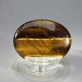Tiger Eye Thumbstone (Extra Grade) ~40x30mm