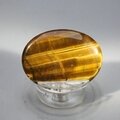Tiger Eye Thumbstone (Extra Grade) ~40x30mm