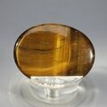 Tiger Eye Thumbstone (Extra Grade) ~40x30mm