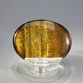 Tiger Eye Thumbstone (Extra Grade) ~40x30mm