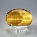 Tiger Eye Thumbstone (Extra Grade) ~40x30mm