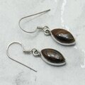 Tiger Iron 925 Silver Drop Earrings ~19mm