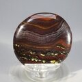 Tiger Iron Polished Flat Tumblestone ~32mm