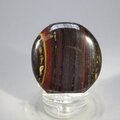 Tiger Iron Polished Flat Tumblestone ~42mm