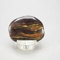 Tiger Iron Polished Flat Tumblestone ~45mm