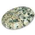 Tree Jasper Palm Stone ~70x50mm