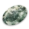 Tree Jasper Thumb Stone ~40mm