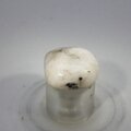 Tugtupite Tumblestone ~19mm