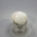 Tugtupite Tumblestone ~21mm