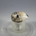 Tugtupite Tumblestone ~22mm