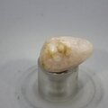 Tugtupite Tumblestone ~23mm