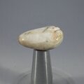 Tugtupite Tumblestone ~25mm