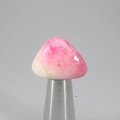 Tugtupite Tumblestone (Extra Grade) ~22mm