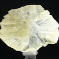 Tunellite Healing Crystal ~43mm