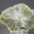Tunellite Healing Crystal (Collector Grade) ~51mm
