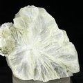 Tunellite Healing Crystal (Collector Grade) ~52mm