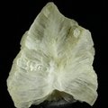 Tunellite Healing Crystal (Collector Grade) ~52mm